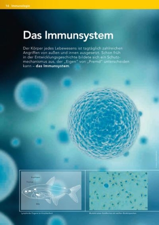 sera Ratgeber Immunsystem PDF