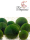 Japanischer Marimo Algenball Ø 3 - 5 cm, 10 Stück