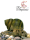 Sumpfdeckelschnecke (Viviparus viviparus)