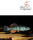 Plains Killifisch (F. zebrinus) 4 - 6 cm, Zuchtpaar